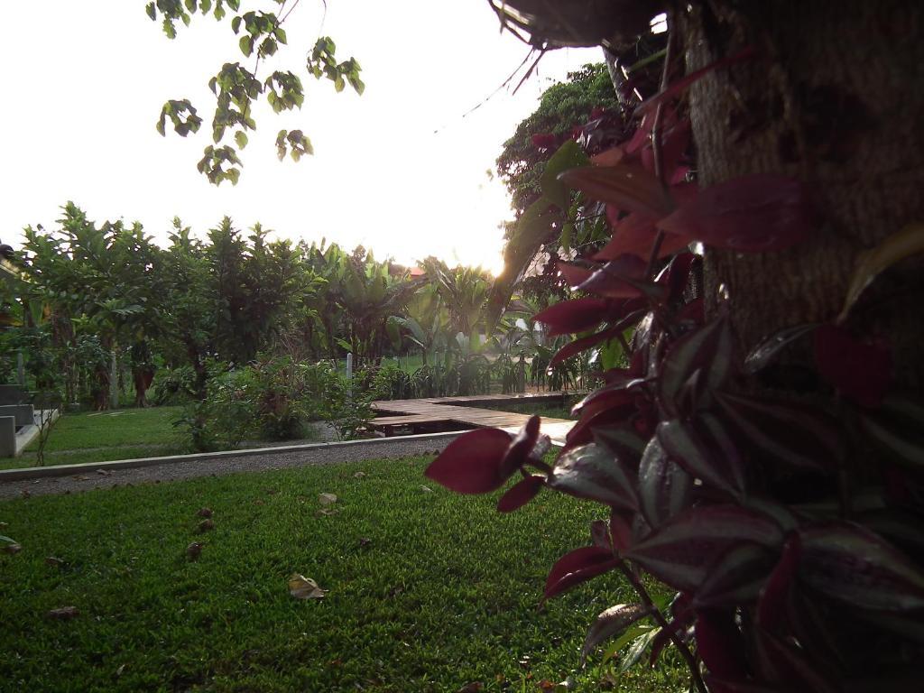 Villa De Mama Rawai Exterior photo